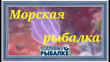 Диалоги о рыбалке - 091 / Морская рыбалка